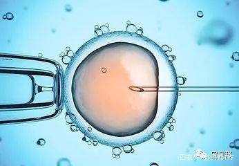 培养箱